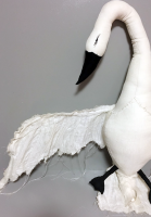 Wall-Swan