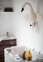 Wall-Swan